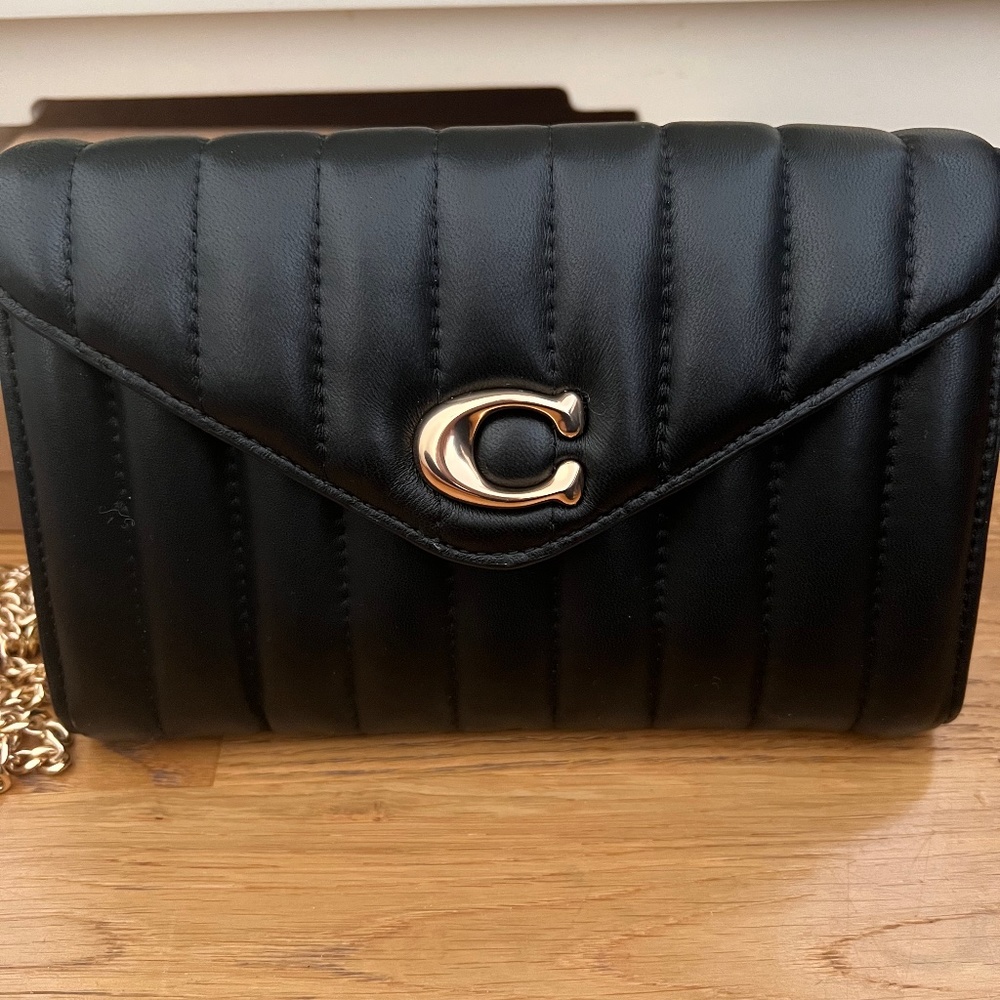Coach Tammie Clutch Crossbody With Puffy Linear Quilting